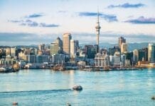 reasons to move to new zealand