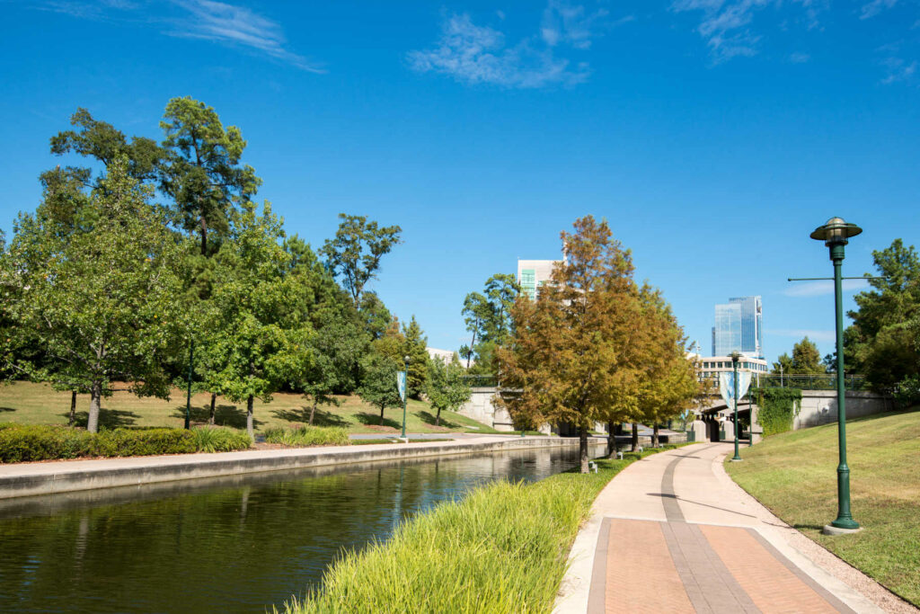 The Woodlands