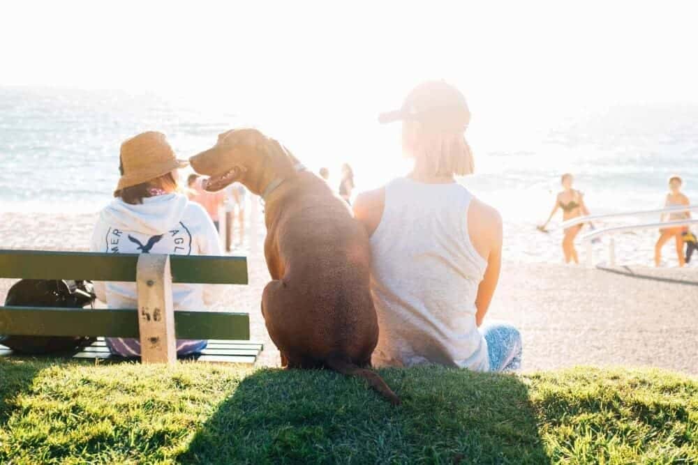 7 Reasons to Move to Australia