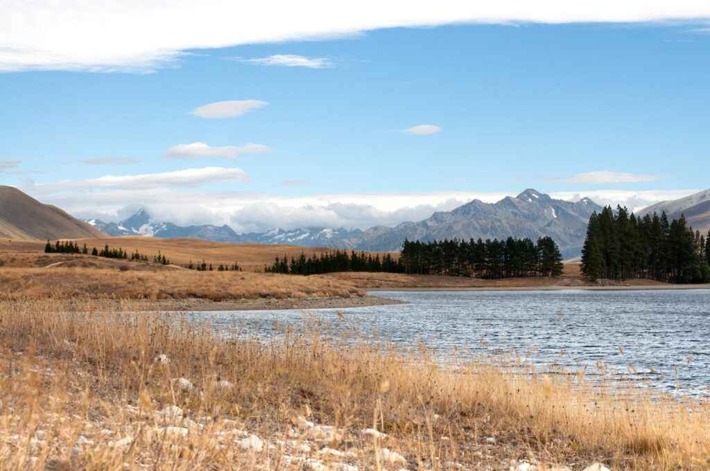Lake Clearwater, Canterbury, New Zealand - source: unsplash - Living in The 16 Regions of New Zealand