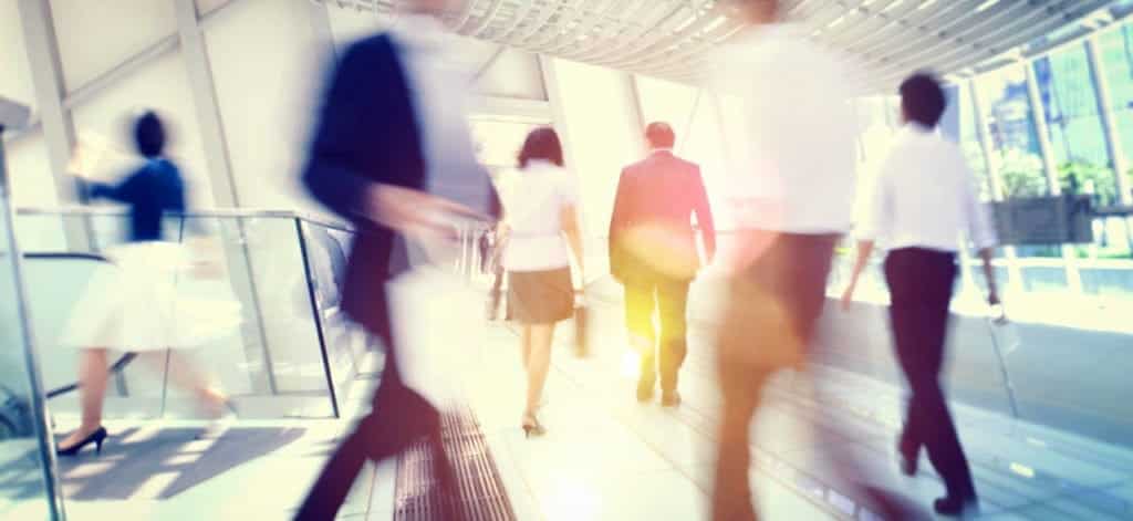 Busy office workers - Working in New Zealand