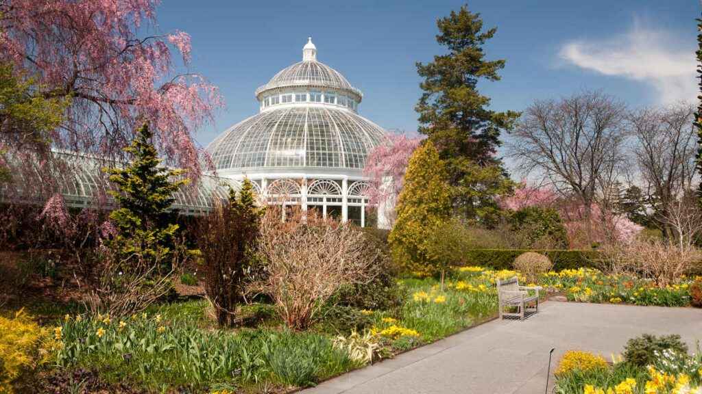 Moving to New York - New York Botanical Garden