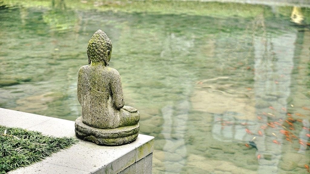 Why and Where to Study in Asia in 2020?
