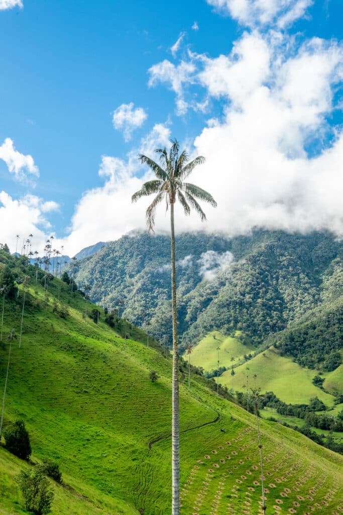 The Best Places to Retire From the UK