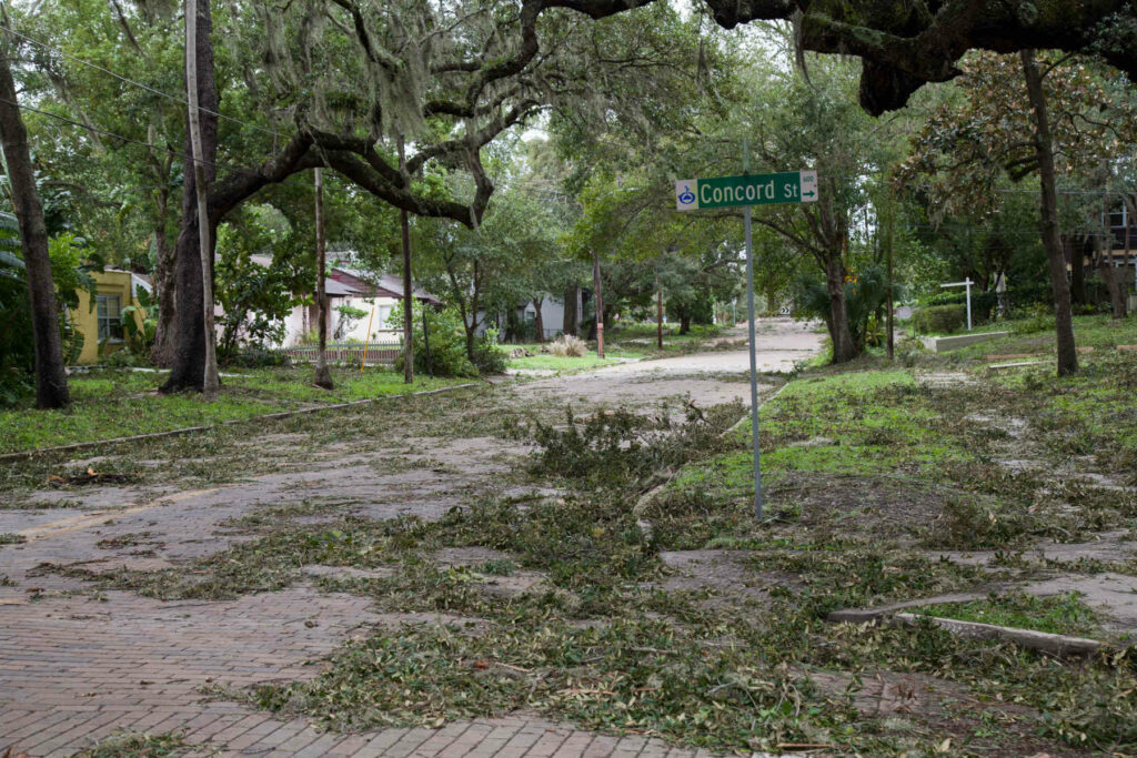 Tree debris scattered on a residential street in Orlando after a storm, highlighting potential weather-related challenges in Central Florida.