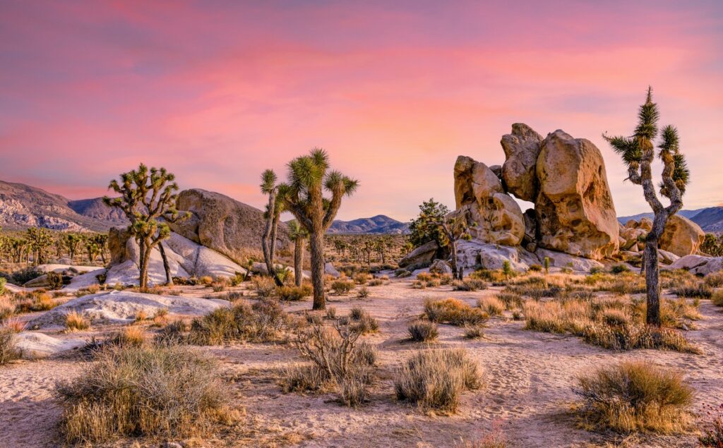 desert