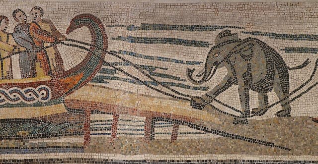 Part of a Roman mosaic found in Italy dating back to the 3rd or 4th century. An African elephant is being loaded on to a ship, presumably from Africa to Europe.