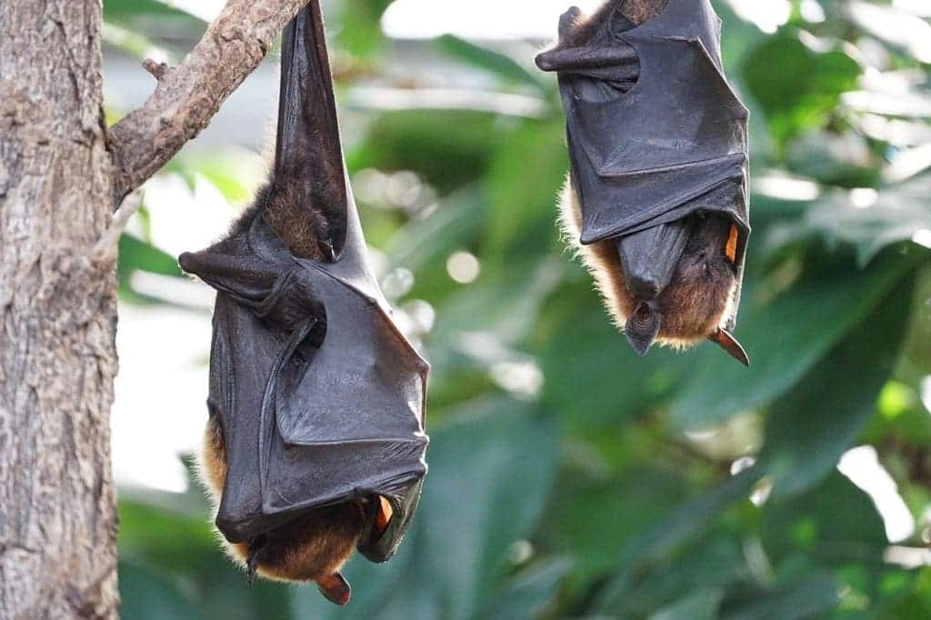 Five of the Creepiest Discoveries Made by New Homeowners