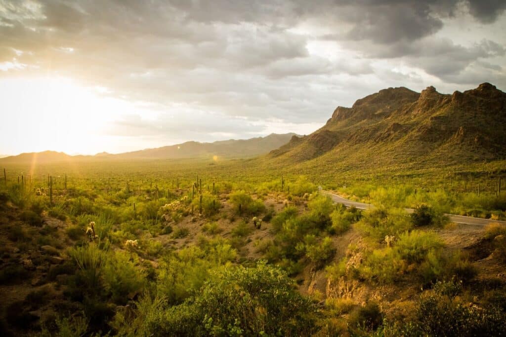 Best Places to Live in the USA - Tuscan, Arizona