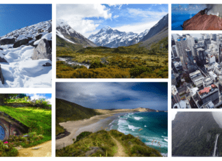 Best Places to Live in New Zealand