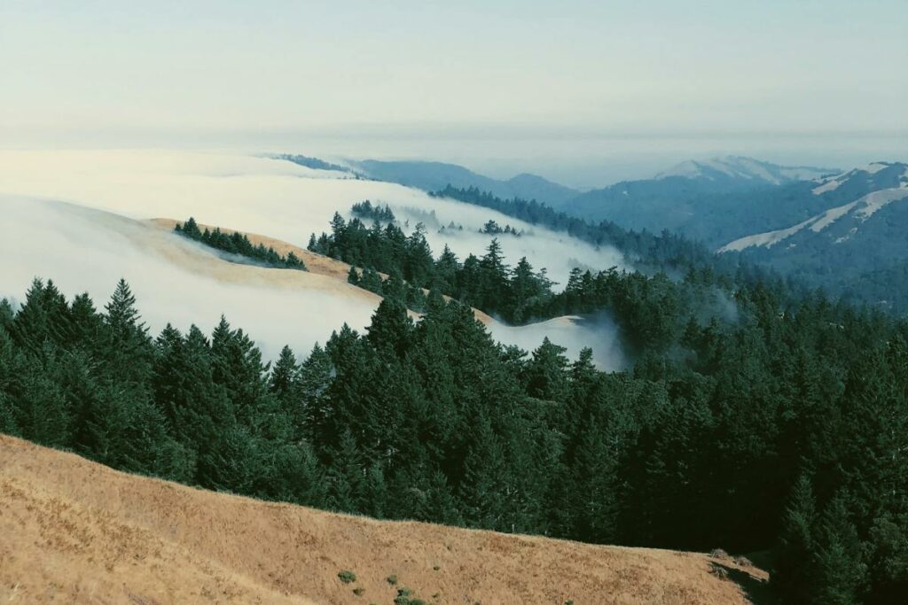 Marin County
