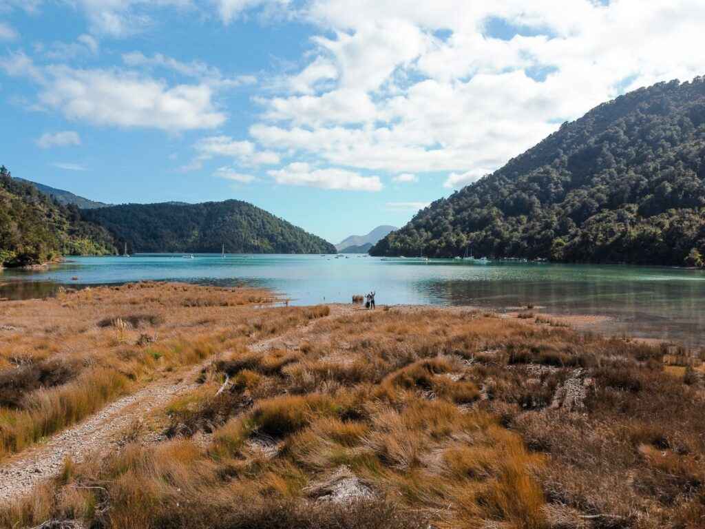Marlborough, New Zealand - source: unsplash - Living in The 16 Regions of New Zealand