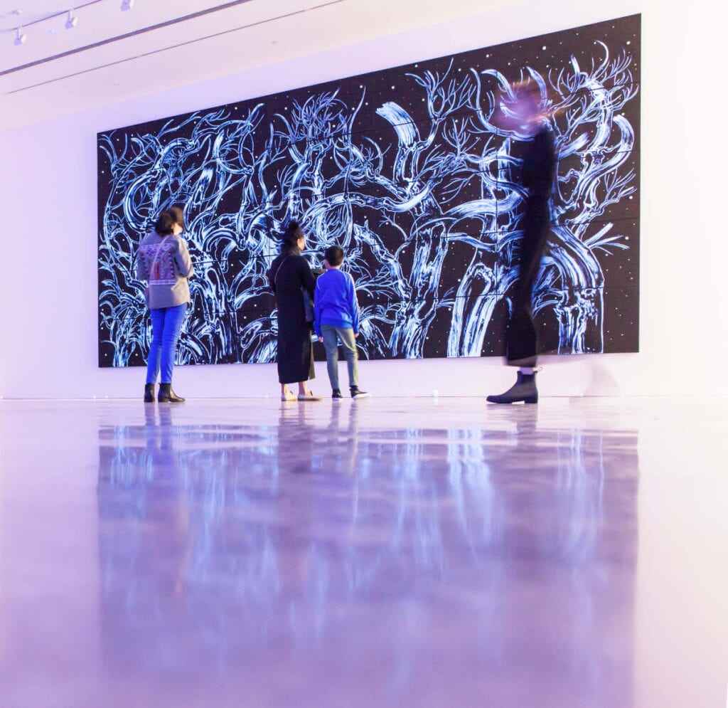 Museum of Contemporary Arm - Covid-safe things to do in Sydney