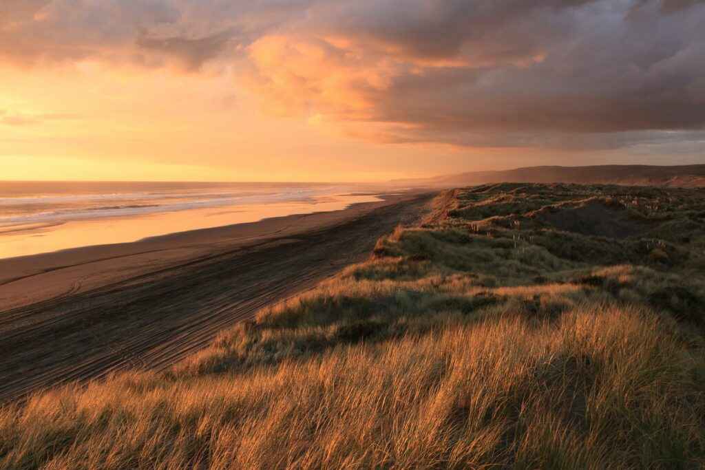 Port Waikato, New Zealand - source: unsplash - Living in The 16 Regions of New Zealand