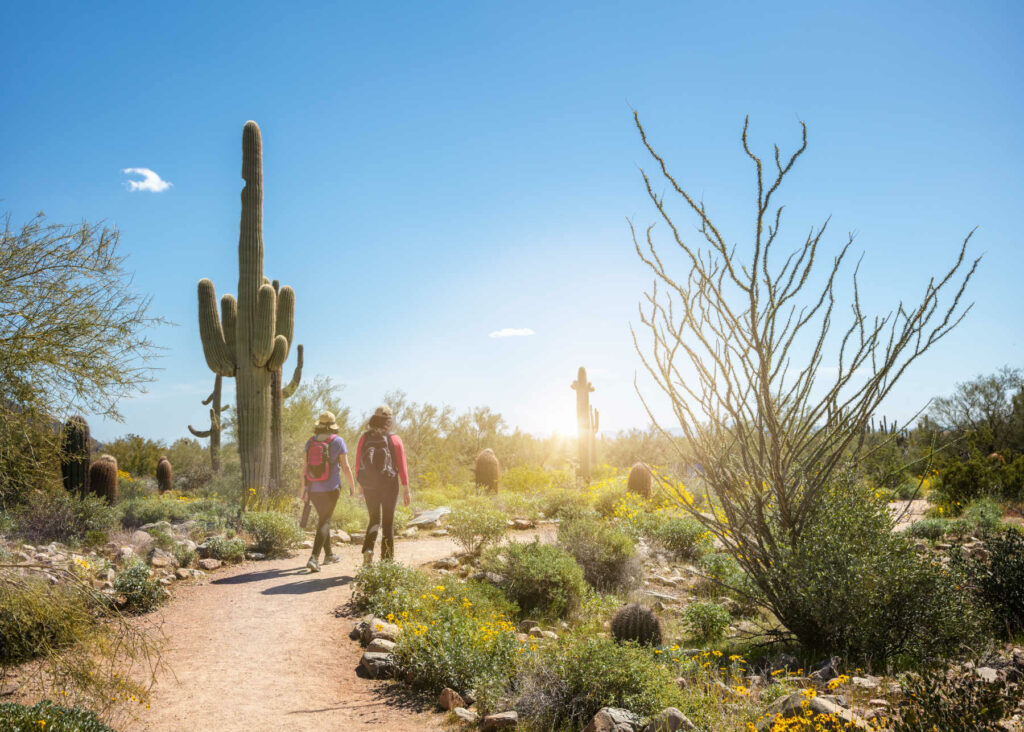 Things to Do in Phoenix