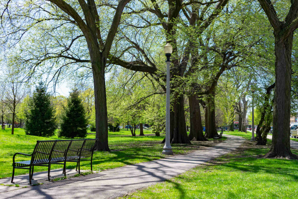 Tree-lined walking path with benches in a Chicago park during spring, highlighting the city’s green spaces and outdoor lifestyle.