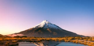 New Zealand Culture