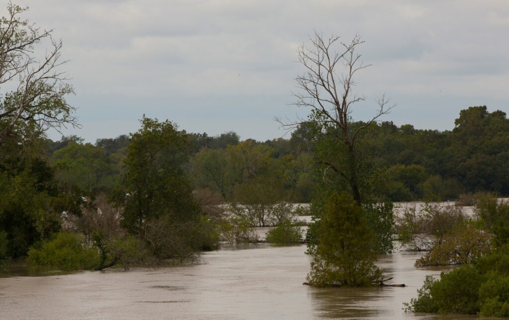 Flooded area near trees during a rainy period in Austin, showcasing the city's flash flooding risk during heavy rainfall.