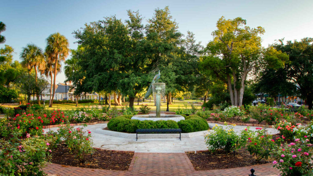 Rose garden and peacock statue in Central Park, Winter Park, Florida, surrounded by lush greenery and walking paths.